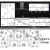 水轉印，家具水轉印，家具水移畫