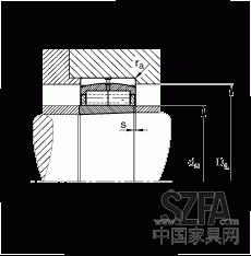 圓柱滾子軸承 F-800485.ZL-K-C5, 特殊軸承，浮動軸承，雙列，錐孔，錐度1:12，可分離，帶保持架