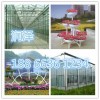 【ZUIHAODE三色堇】三色堇種植基地在哪里？
