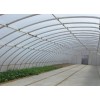 河北溫室大棚施工，春秋用大棚建造，自動化溫室大棚施工【快速get】華亮
