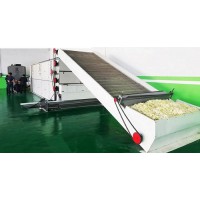 蒜片烘干機  百信廠家高規格大型網帶式連續蒜片干燥設備